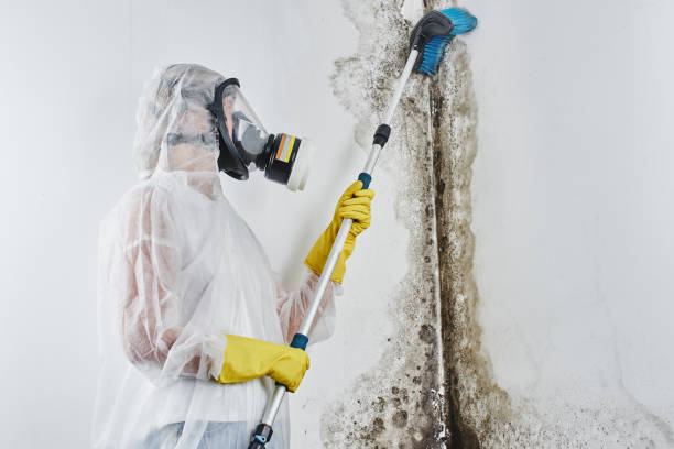 Best Emergency Mold Removal  in Woodbury Center, CT
