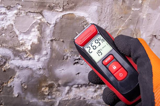 Best Best Mold Removal Companies  in Woodbury Center, CT