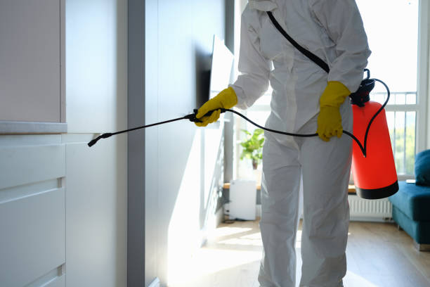 Best Fast Mold Removal  in Woodbury Center, CT