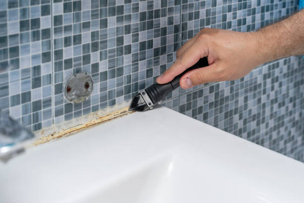 Mold Removal and Inspection in Woodbury Center, CT
