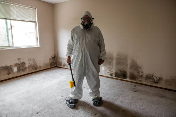Best Crawl Space Mold Removal  in Woodbury Center, CT